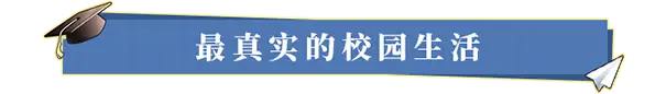 3372[爆款/SLG/后宫/全动态] 网球天使EX Academy Love Saga Tennis Angels EX STEAM官方中文步兵版v1.10 DLC【2025年08月22日 更新】