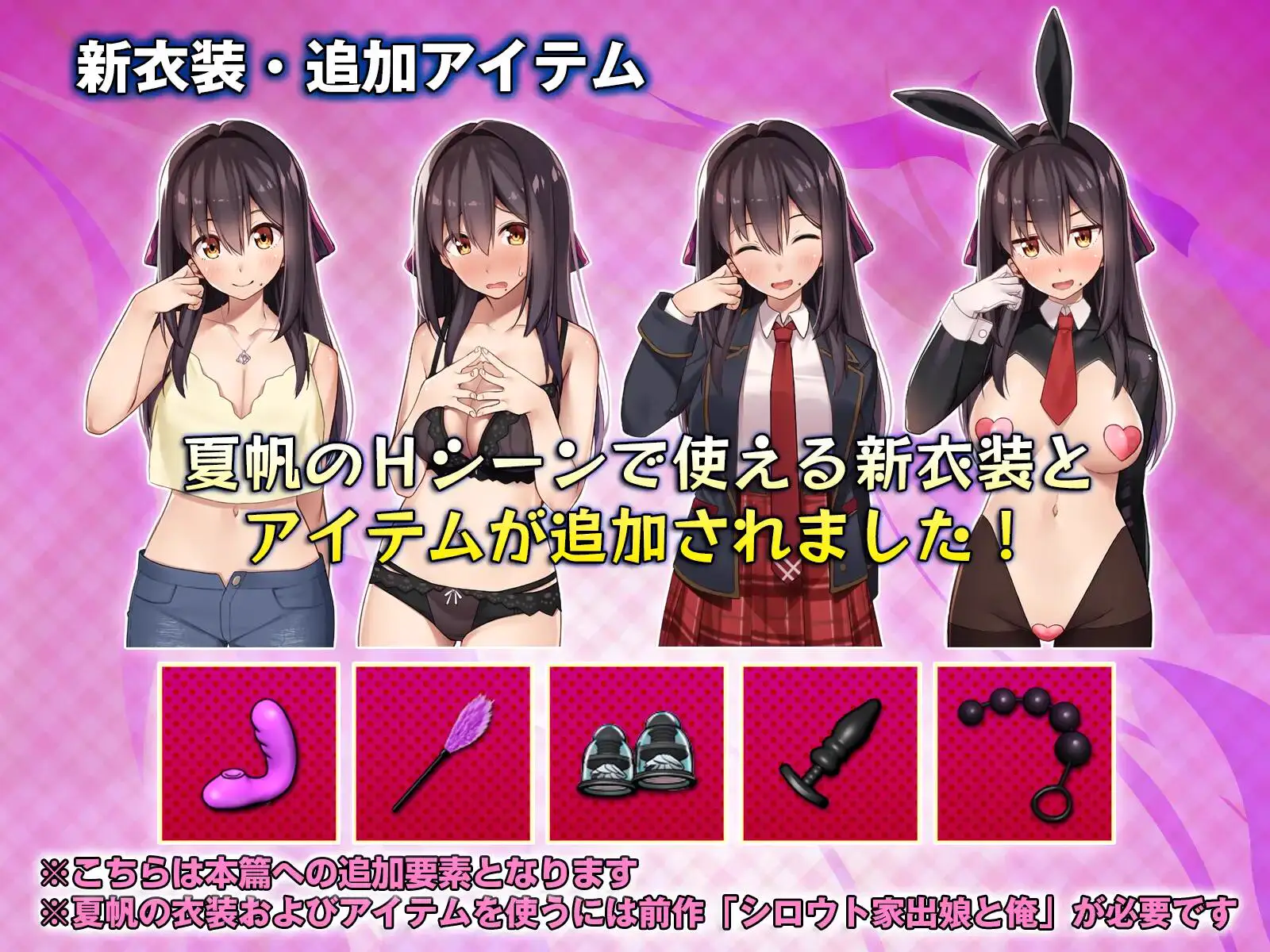 1687新作[日式SLG/互动养成/同居] 外行离家少女与我 甜蜜时光 シロウト家出娘と俺 Sweet Days 生肉版+外行离家少女与我 多语言版 [2.70G]