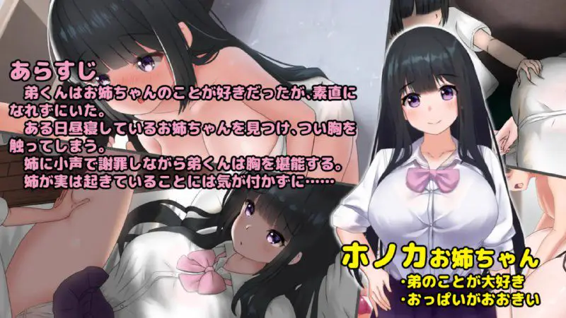 2286[互动触摸SLG/全动态/1.3G] 希望被弟袭击的姐姐 LIVE2D V1.04 步兵完全版 日文