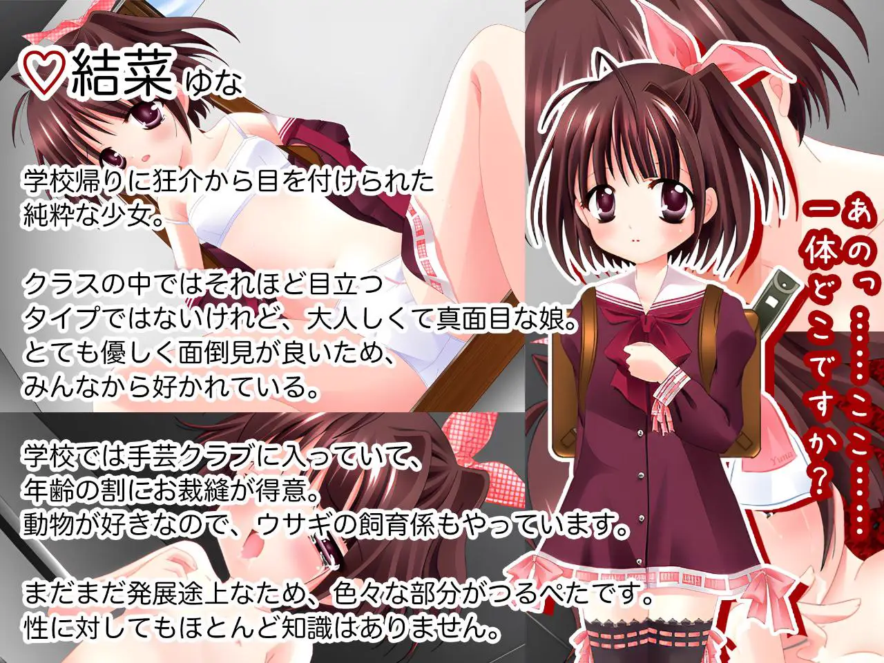 10148[SLG/萝莉] 普罗拉奇主义者狂介R〜蕾悦地下室七日间〜 プロラチリスト狂介R〜蕾悦地下室七日間〜 AI汉化版 [1.70G][PC+安卓mtool]
