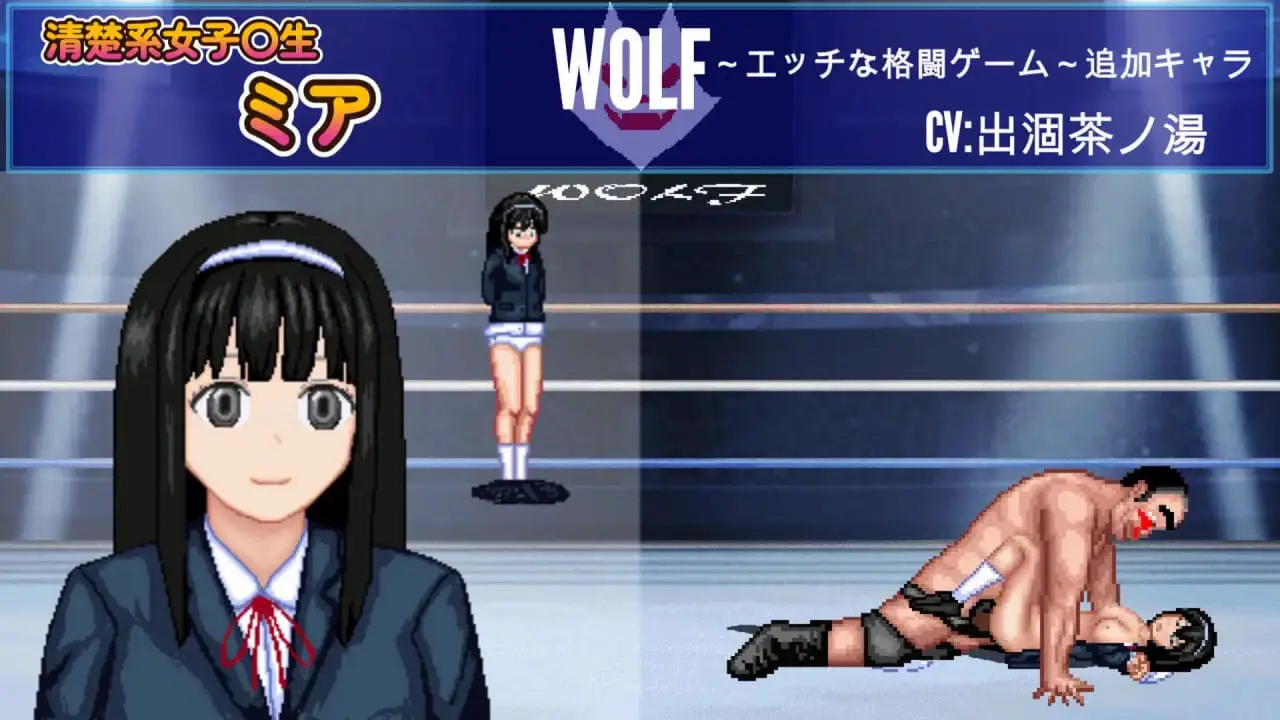 10472[ACT/格斗/像素动态]WOLF~色色的升级型格斗游戏~ WOLF～エッチなアップデート型格闘ゲーム～ v26.03.09 官中
