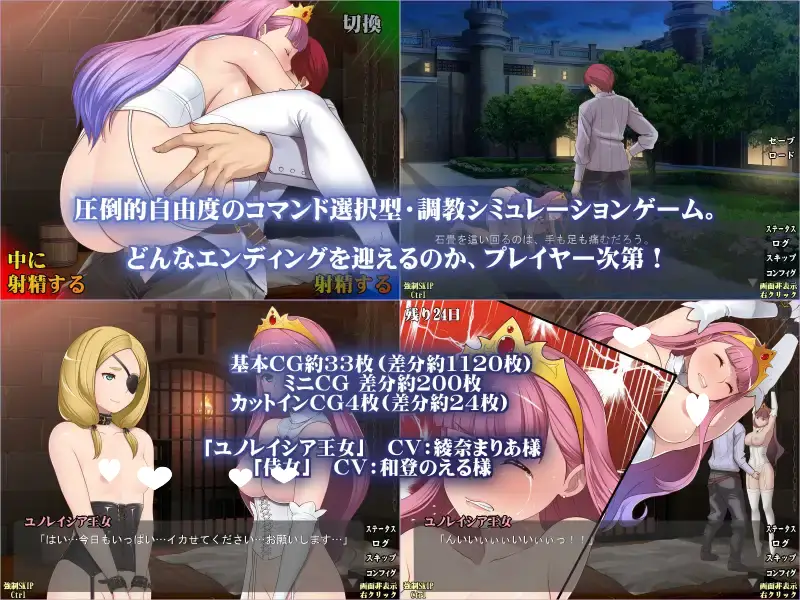 10748[互动触摸SLG]プリンセス・エスカレイション～監禁王女～生肉