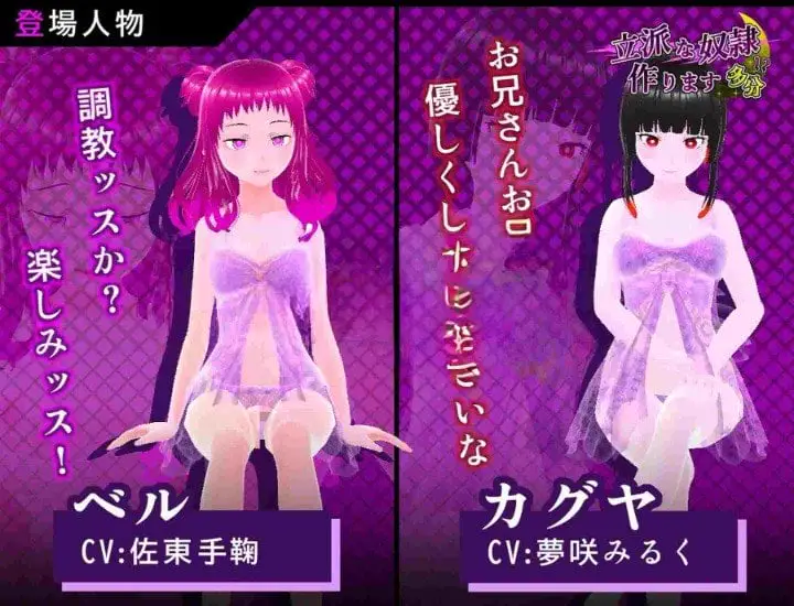 10786[日式SLG/动态] 培养优秀的奴隶 大概 立派な奴○作ります 多分 生肉版 [360M]