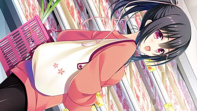 11187[ADV/同居/恋爱]寄宿之恋 Karigurashi Ren’ai: Living on Borrowed Love かりぐらし恋愛 官方中文版