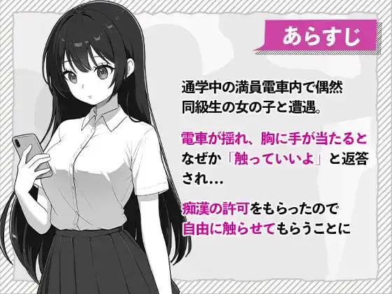 11465[SLG/电车]快感线直达 触摸JK痴汉电车 快感線直通 おさわりJK痴〇電車 生肉 [PC+安卓盖世]