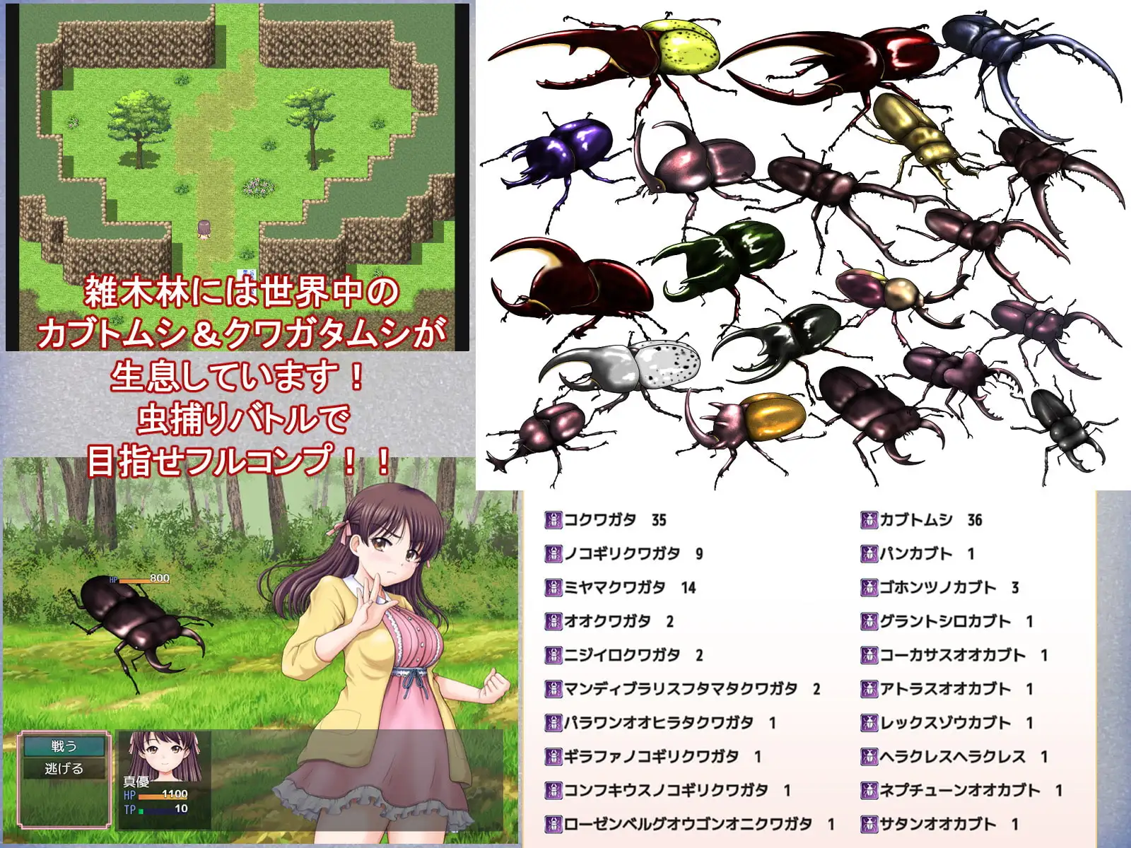 11513[爆款RPG]又是那个有趣的乡村暑假 あの楽しかった田舎での夏休みをもう一度 1.0.0 AI汉化版【PC+安卓/1.39G】