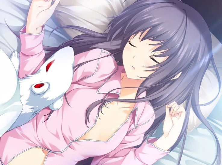 11855[ADV/恋爱]LOVELY×CATION 恋爱物语 [PC+安卓kr]