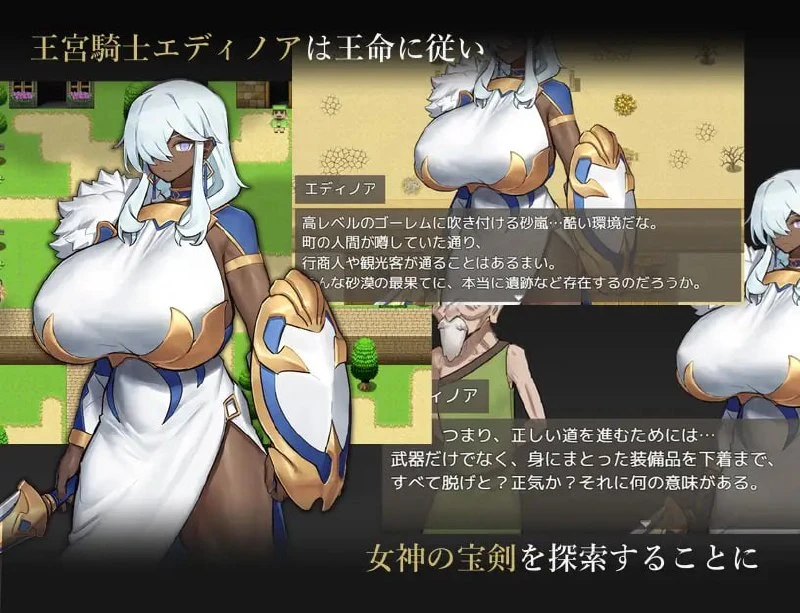 12355[RPG/巨乳/黑皮]王宫骑士的决心 王宮騎士のデタミネーション 内嵌AI汉化[PC+安卓]+作弊码