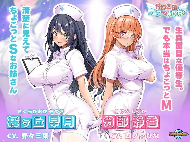 12938[ADV/护士/男性受] 性欲处理也交给护士吧 性欲処理もナースにまかせて v1.00 AI汉化[PC+安卓kr]