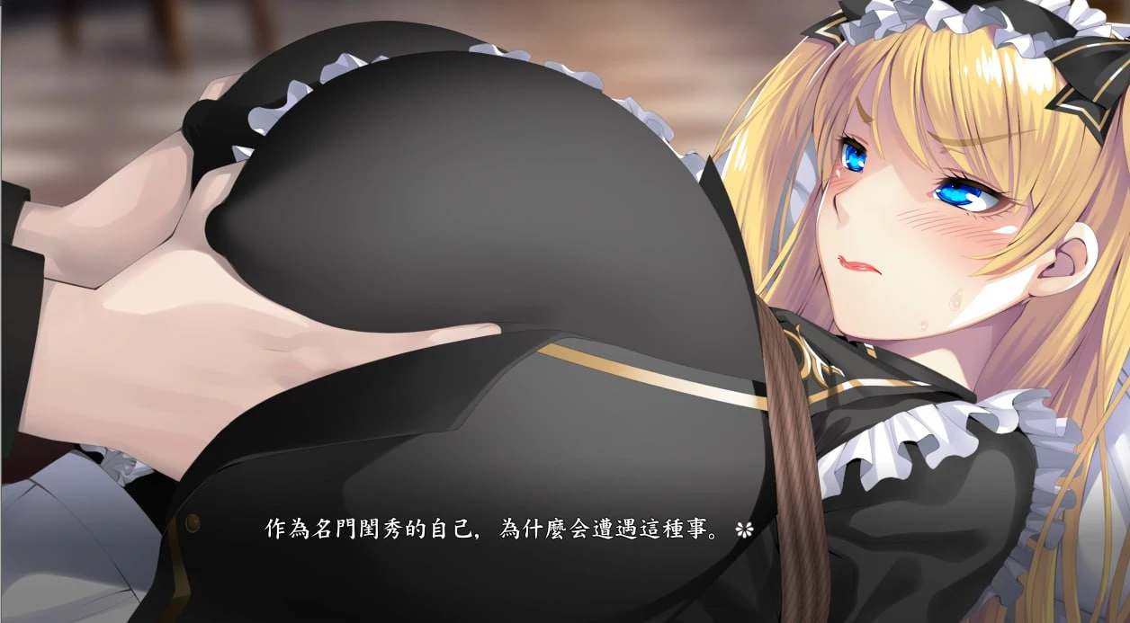13025【拔作ADV/巨乳/女仆】爆乳女仆调教 ～夜晚强奸紧缚教育～（爆乳メイド調教 ～夜姦緊縛教育～）V1.0 AI汉化
