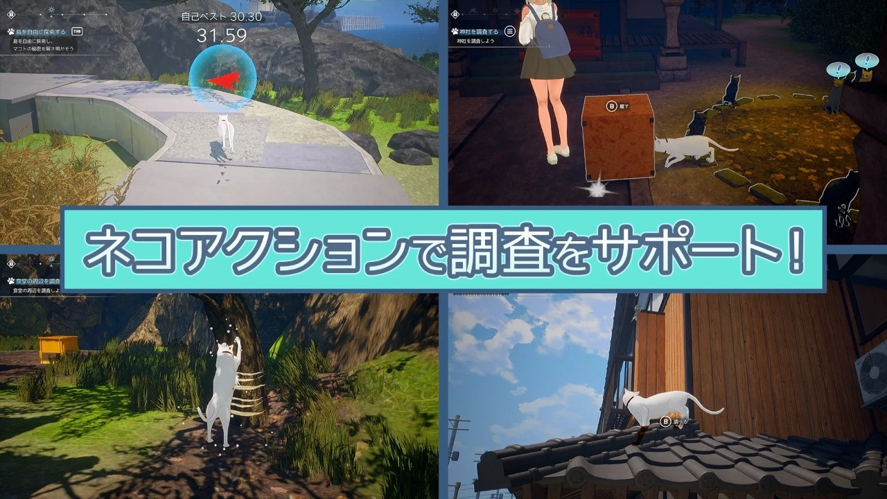 13195[3D/露出/动态]猫岛雨香 猫島ペトリコール v1.0.3788 官中步兵