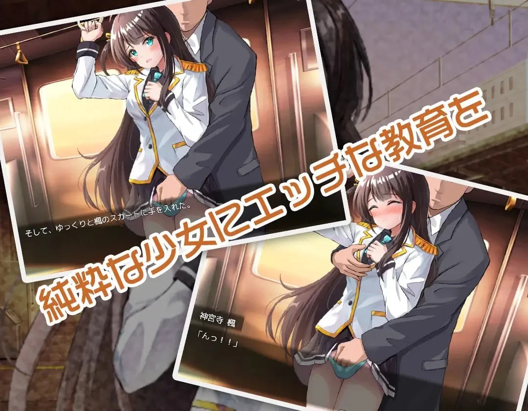 16526[RPG/调教]JK -纯洁少女教育课程- JK -純潔少女教育課程- 内嵌AI汉化[PC+安卓]+作弊码