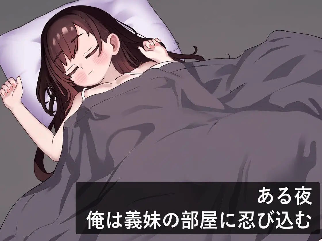 5589【触摸SLG/动态/汉化】俺は義妹の部屋に忍び込む +存档