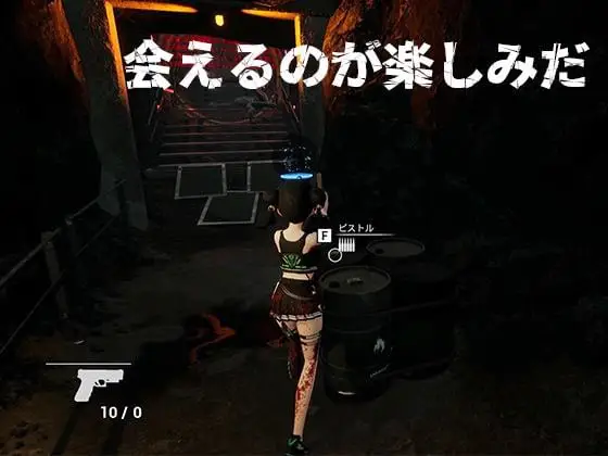 7350【3D动作/FPS】LonelyLabi（日文+去码）[PC+安卓盖世]