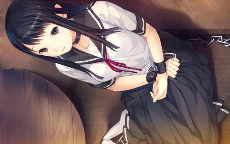 3501【ADV/AI去码/致郁/精翻汉化】夏之锁 夏ノ鎖 v1.0.1+全CG存档