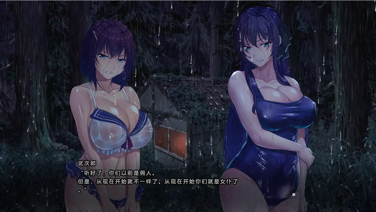 4041[ADV/精翻汉化/15G] 湿漉漉的孤岛 濡れる孤岛精翻汉化版+全CG存档
