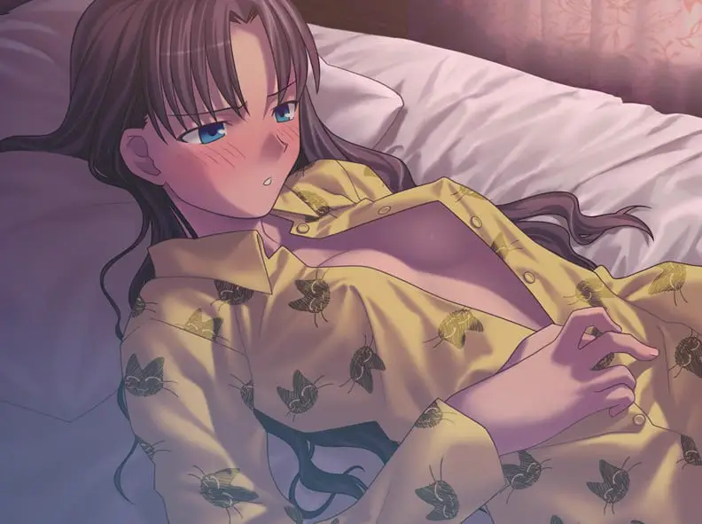 9692[ADV/汉化]Fate/hollow ataraxia[PC+安卓kr]