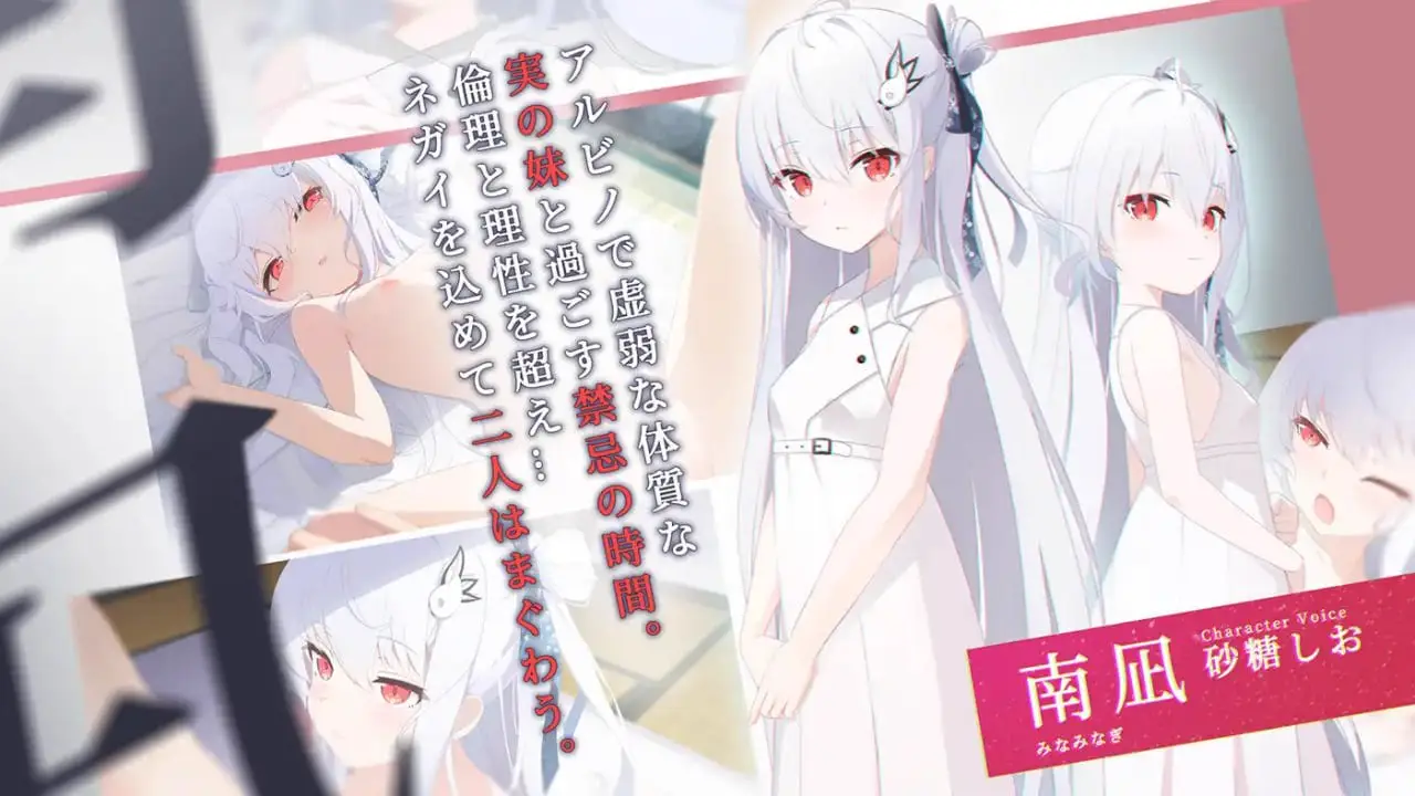 8947[ADV/纯爱] 只愿 カタネガイ Ver1.03 精翻汉化版 步兵版+全CG存档 [PC+安卓4.40G]