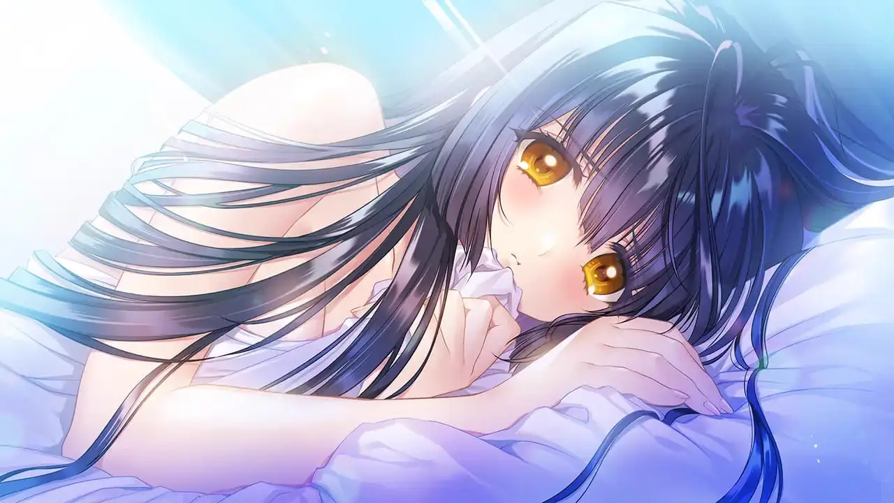 4356【ADV/AI汉化】无颜之月 – 待宵的双椿 顔のない月 -待宵の双椿-