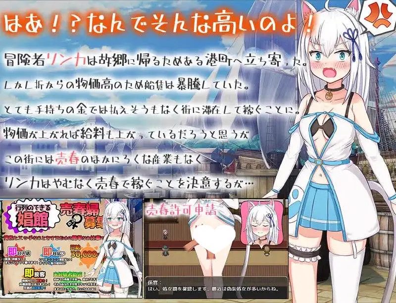 7191[日式RPG/堕落/动态/露出] 赚钱吧!猫耳娘～异世界卖春SLG～ 稼げ猫耳娘 ～異世界売春SLG～ V1.0 AI汉化版 [PC+安卓-3.40G]