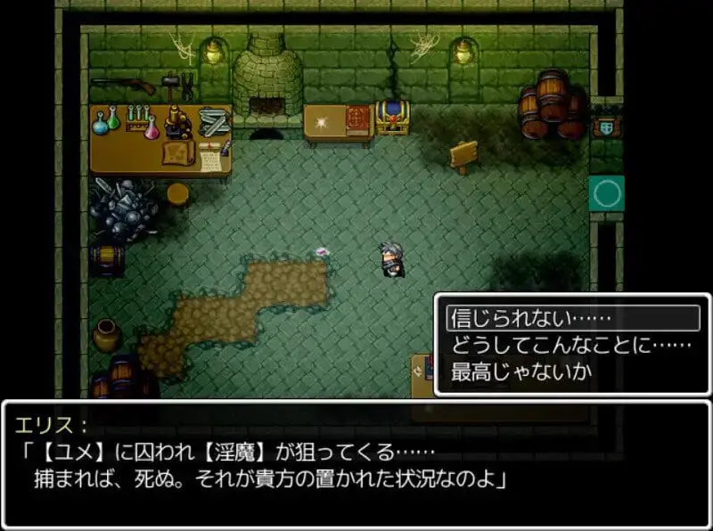 8135[动作ARPG/官中步兵] 淫魔枪戏 淫魔銃戯 STEAM官中版 [400M][PC+安卓joi]