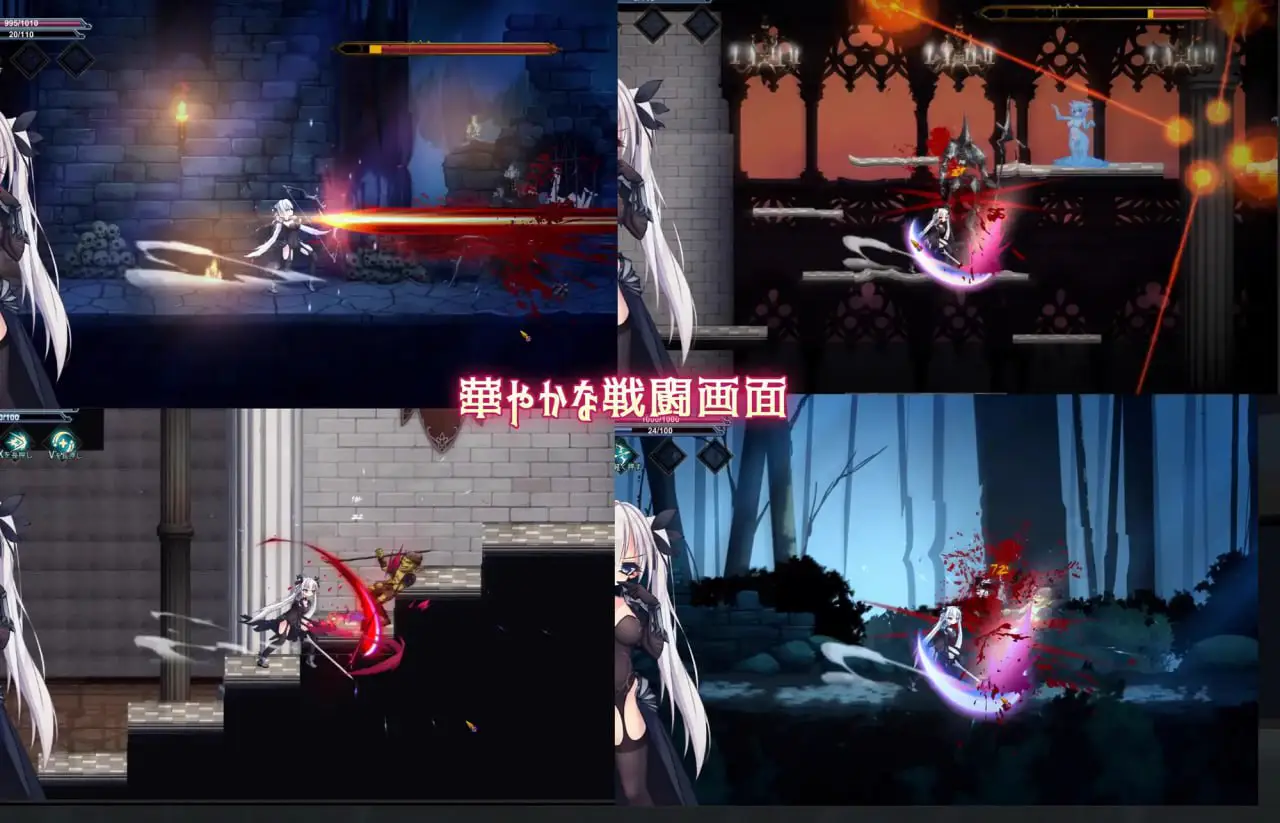 8216[ACT/战斗H]银剑战姬 銀剣の戦姫 生肉 动态[PC+安卓盖世]