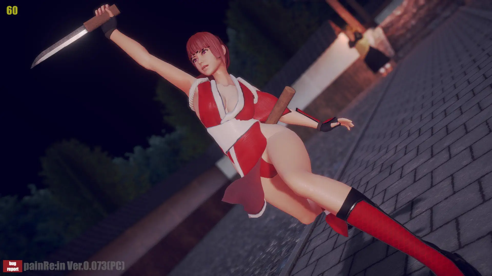8793【ACT/3D格斗】painRe:in painRein ver0.091 去码版[PC+安卓]