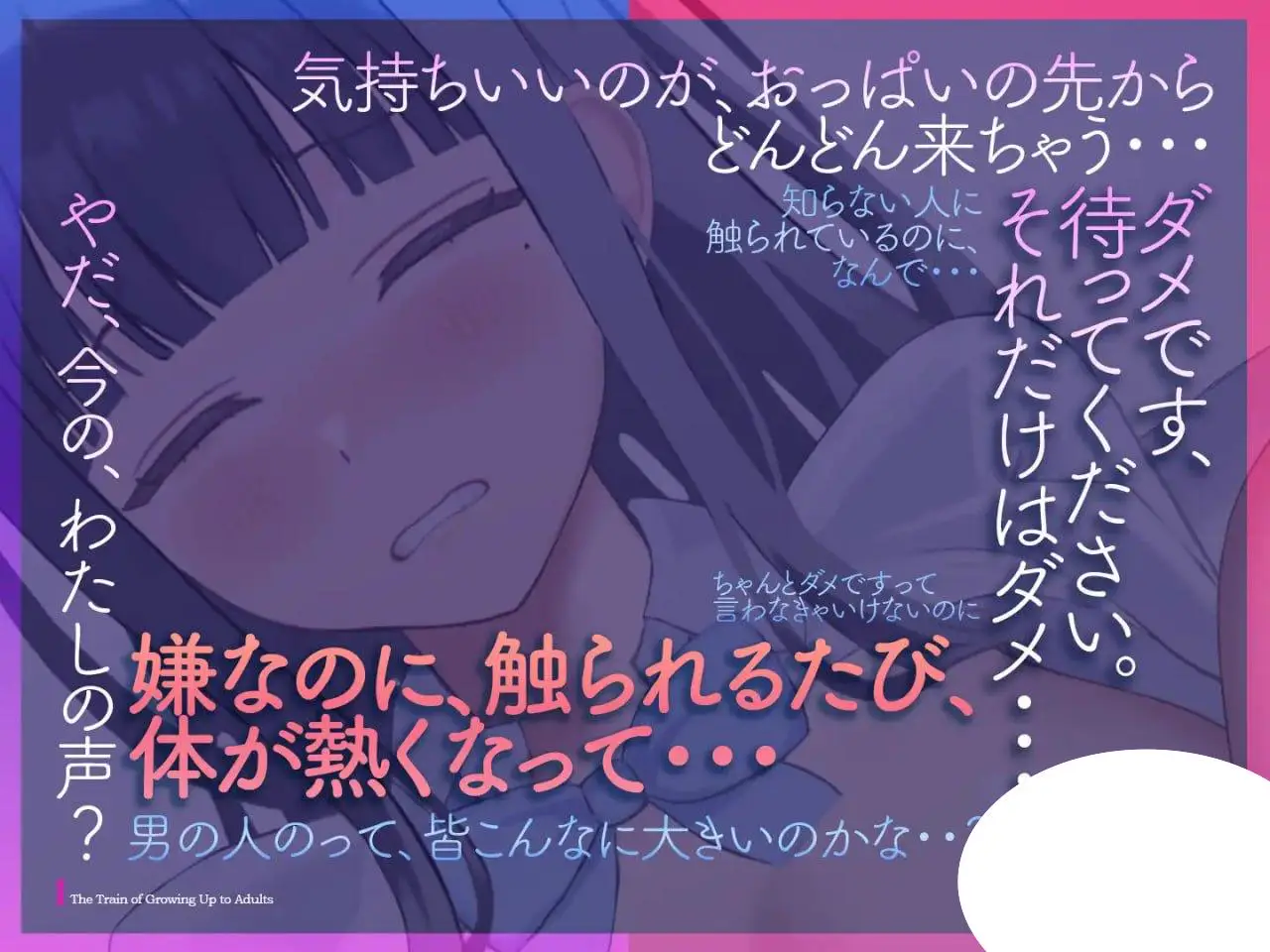 5219【触摸SLG/动态/汉化】少女开发列车 少女開発列車 v1.0.0 PC+MAC