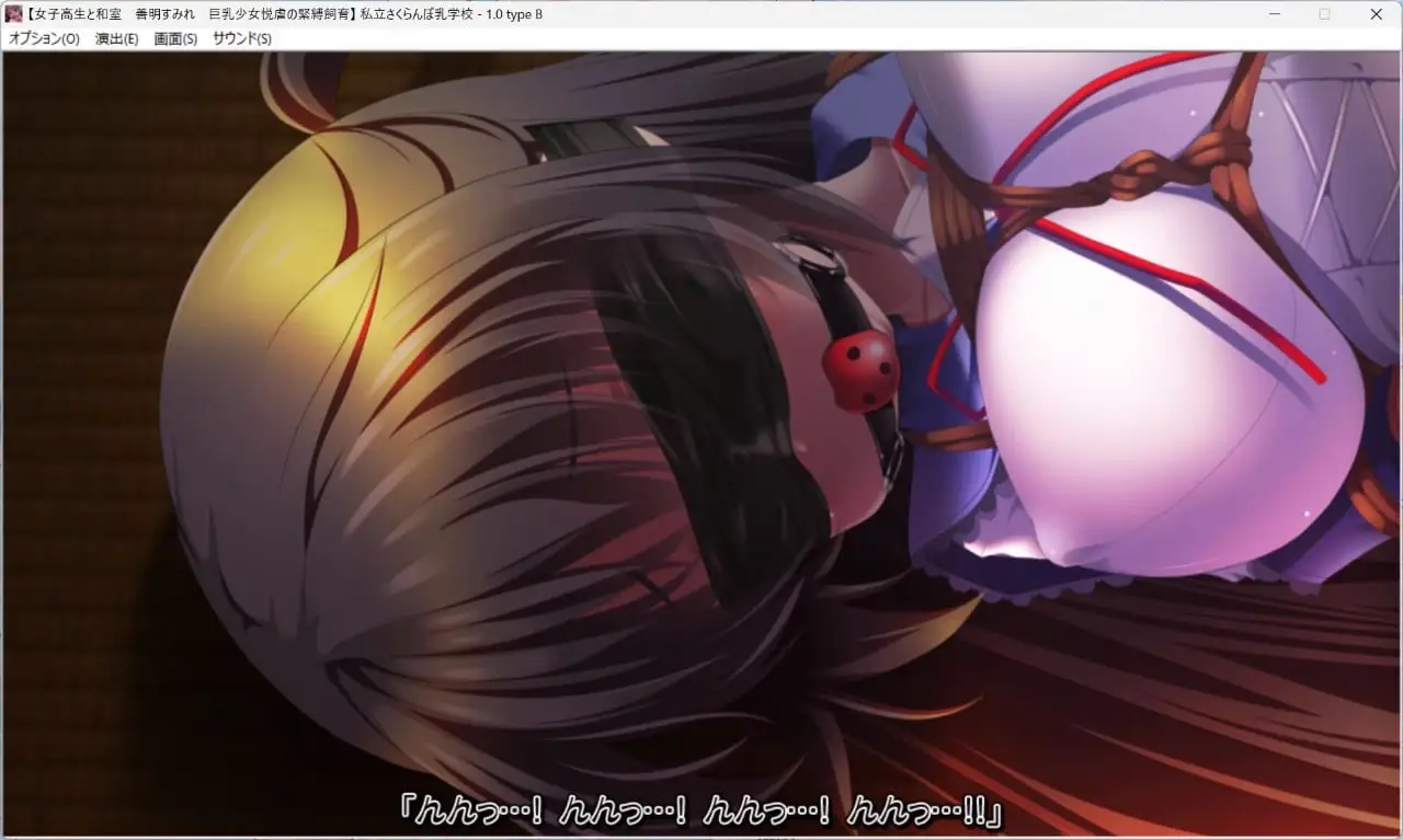 7216[SLG/汉化/萝][私立さくらんぼ小学校/私立さくらんぼ乳学校] 私立樱桃小学校合集 2002-2023 27部+6额外版本 [PC+安卓kr](80G)