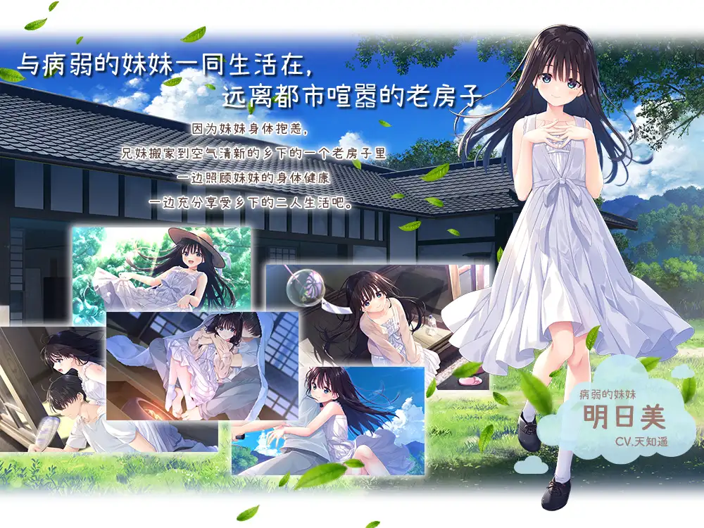 4400【爆款RPG/官中步兵/动态】痴情哥哥与病弱妹妹的乡间生活 エッチで一途なド田舎兄さまと、古式ゆかしい病弱妹+特典 PC+安卓KR+全CG存档