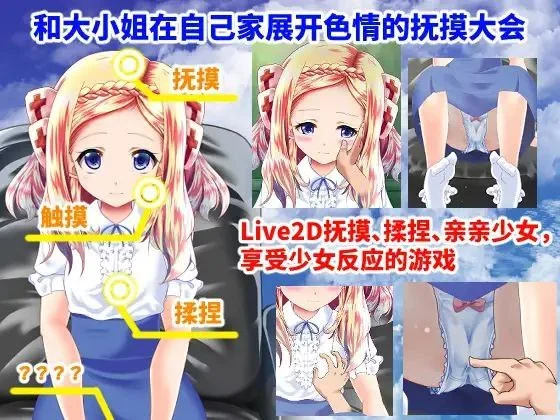 16309[精品触摸SLG/Live2D动态]和大小姐的抚摸大会 お嬢様とのおさわり会 官中步兵[PC+安卓盖世]