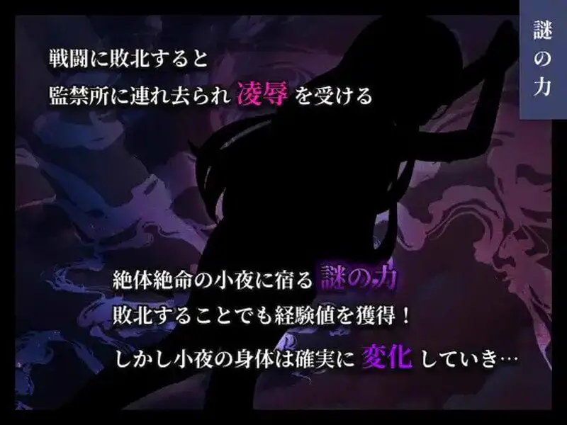 0714更新[日式RPG/战斗H] 彷徨巫女传～小夜逃脱记～ 彷徨巫女伝～小夜脱出譚～ ver1.10 AI汉化版+礼包码 [PC+安卓 850M]