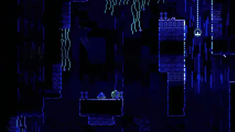 s0107动物井（Animal Well）