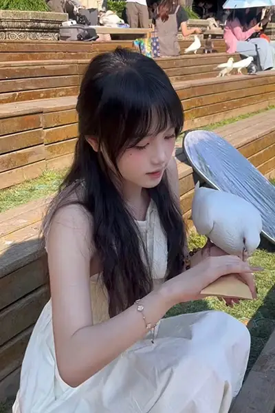 s0145做你的猫 v202409016 免安装中文版