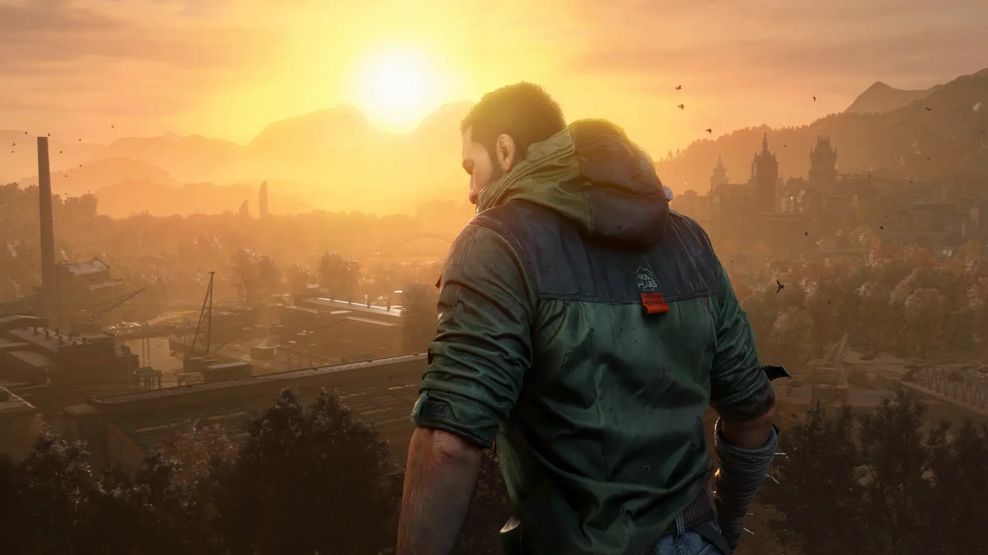 消逝的光芒：困兽|官方中文|支持手柄|Dying Light: The Beast Deluxe Edition插图1