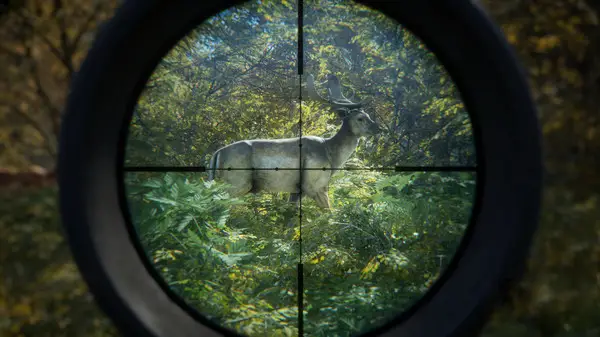 s猎人 荒野的召唤 v3028143 全DLC 单机+联机 赠满财富技能小屋位置存档（theHunter: Call of the Wild）免安装中文版