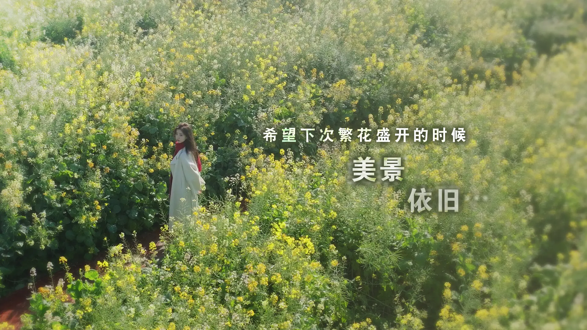 这个是真的喜欢！v1.0